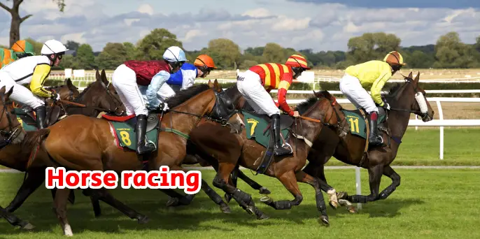 horseracing